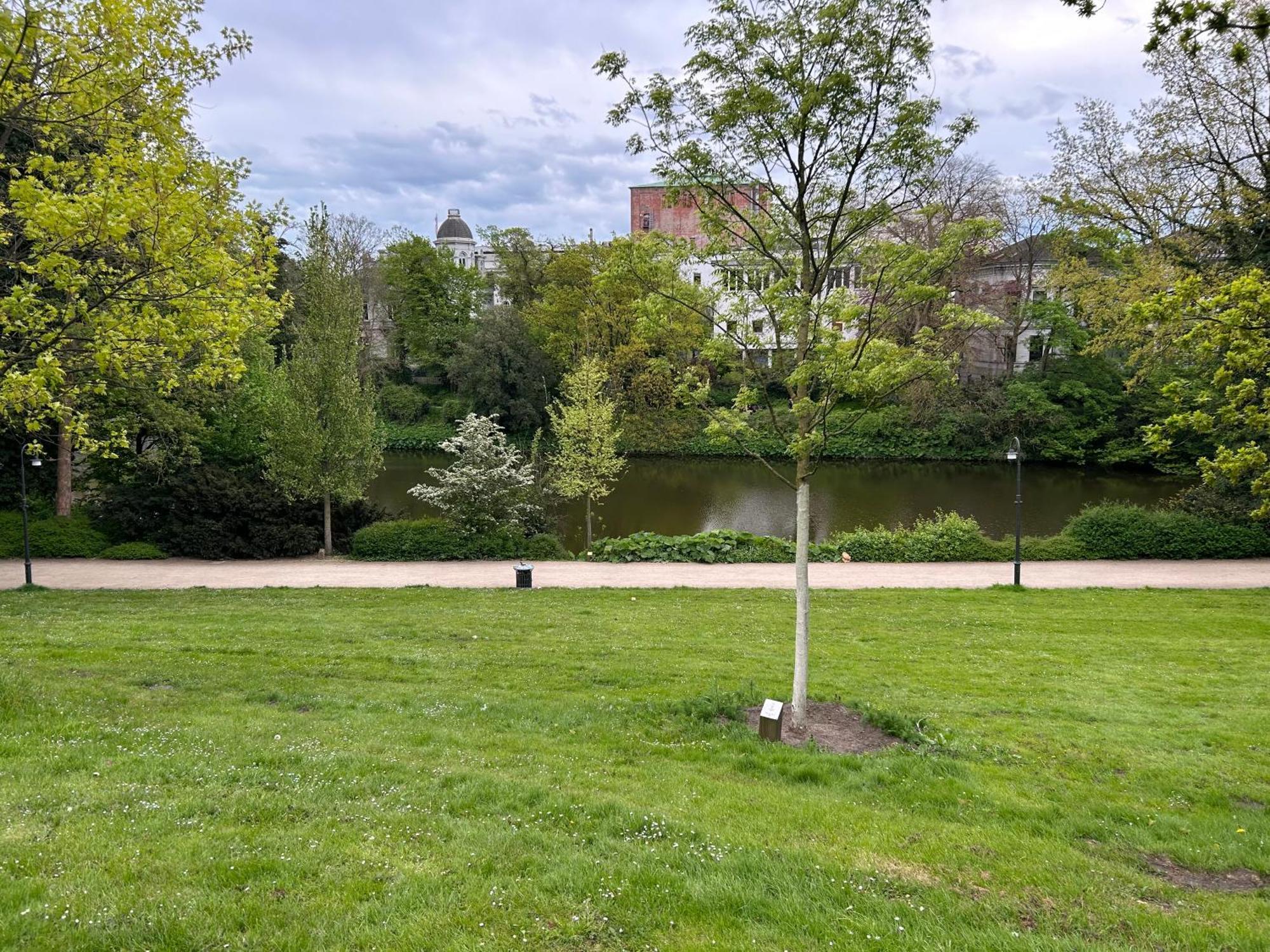 Homey Apartments - Riverside - Mit Weserblick Und Parkplatz Бремен Экстерьер фото